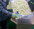 Βιομηχανικό Lyophilizer υψηλής αποδοτικότητας, βιομηχανική εύκολη λειτουργία μηχανών φρούτων ξηρότερη προμηθευτής